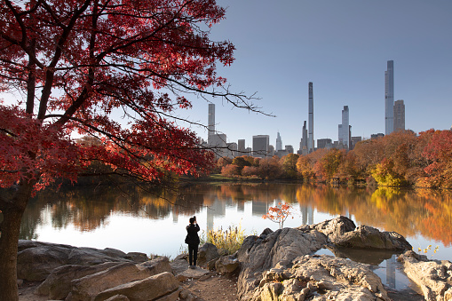 Person standing at Hernshead rock during autumn season in Central Park.
