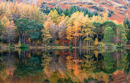 Autumn Colour Reflections in Blea Tarn in the Lake District, England
