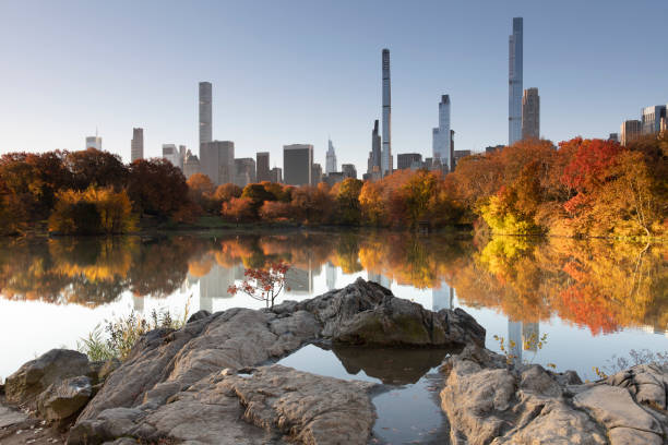 autumn in central park hernshead - central park manhattan fotos stockfoto's en -beelden