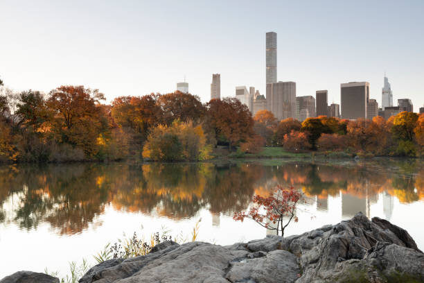 istock Central Park Hernshead Sunrise 1353114999