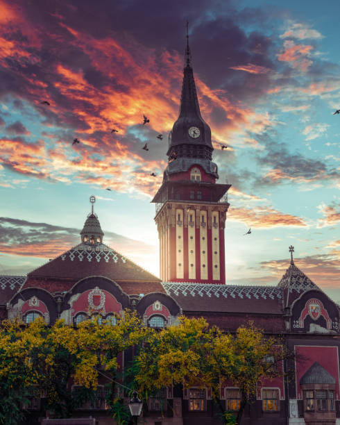 Pigeons flying past the magnificent tower of Subotica's city hall with fiery sky during sunset stock photo