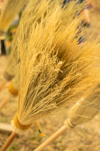 The beautiful natural background of their millet fibers. Thin dry stalks of grass in the sun. Natural multitasking background. Close-up. Selective focus.