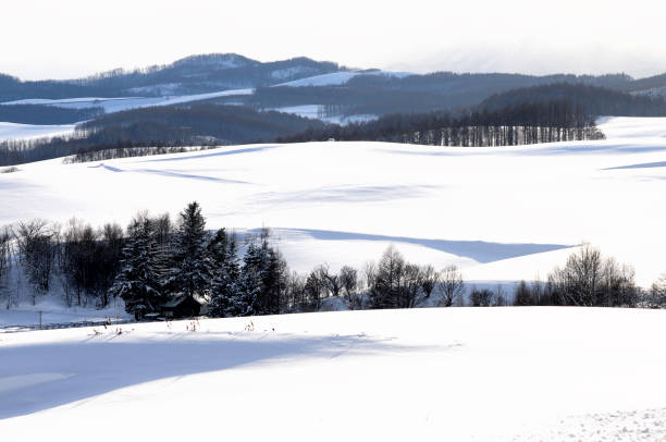 istock Snow-covered hillside with the sun shining 1353130063