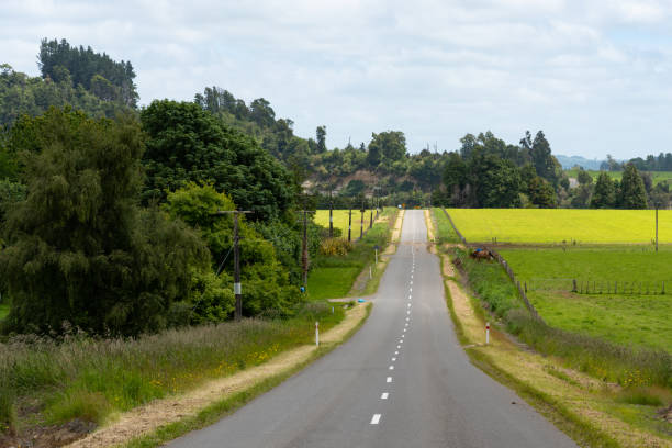 Rural scenery along the Manawatu Scenic Route in New Zealand Countryside scenery along a scenic road in New Zealand manawatu river stock pictures, royalty-free photos & images