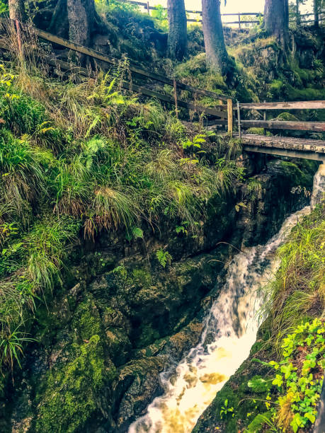 istock A small stony river with waterfalls in the Black Forest. 1353134135