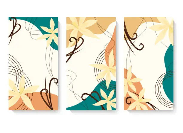 Vector illustration of Set of card templates with abstract spots and vanilla flowers. Vector illustration.