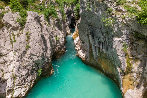 Magical turquoise color of Soca river, Slovenia Magical turquoise color of Soca river, Slovenia. julian california stock pictures, royalty-free photos & images