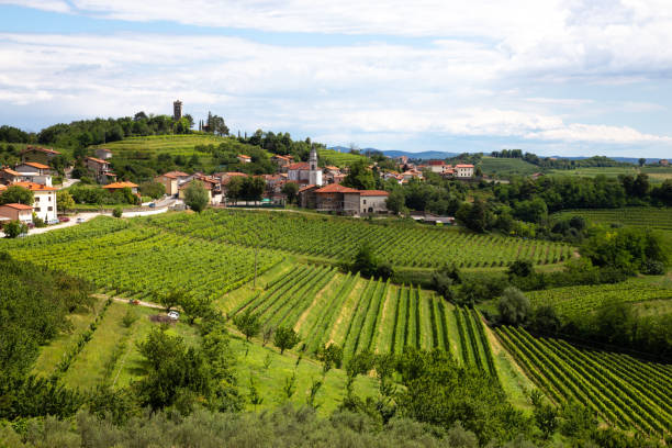 Smartno medieval village in Goriska Brda region, Slovenia. Smartno medieval village in Goriska Brda region, Slovenia. nova gorica stock pictures, royalty-free photos & images