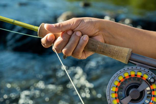 Close up of a young female asian hand stripping fly fishing line on a river stock photo