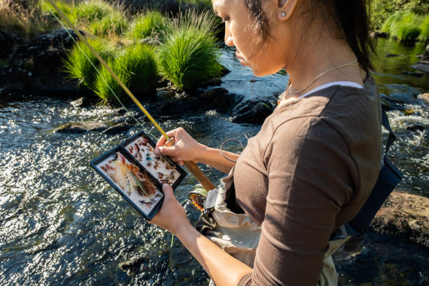 A close up of an asian female selecting fly fishing flies from a box stock photo