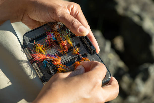 A close up of an asian female selecting salmon fly fishing flies from a box stock photo