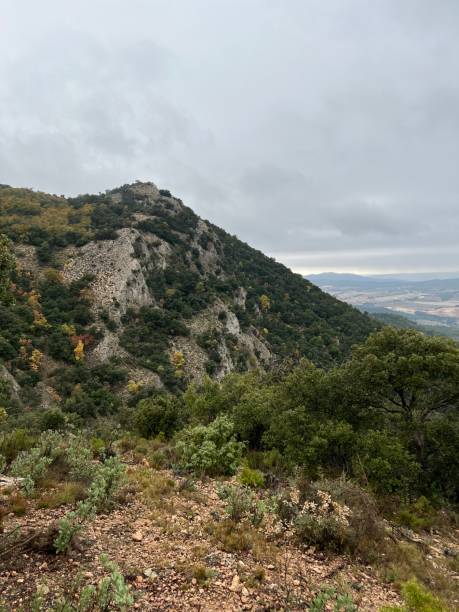 istock Forest in Alcoi called Font Roja 1353148477