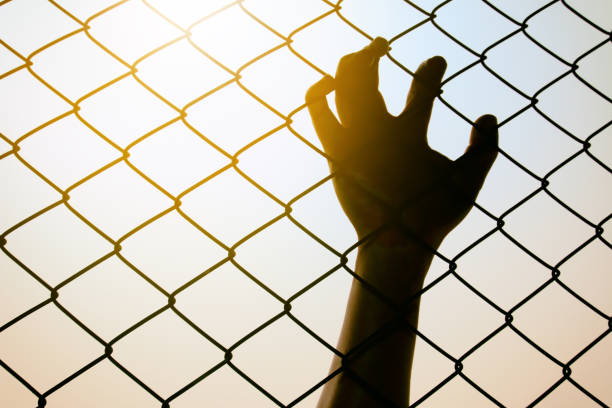 istock Hand catching metal fence, Feeling no freedom 1353150645