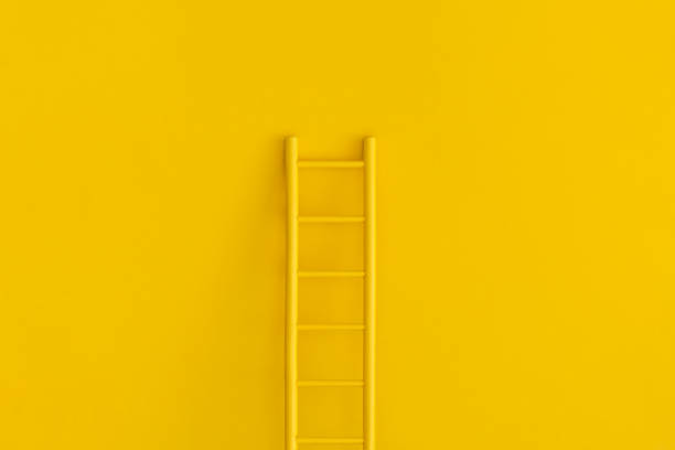 istock Ladder career path for business growth success process. Inspiration and creative idea concept. 1353152533