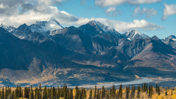 istock Boreal forest in September, fall, autumn with mountains in the background. 1353152893