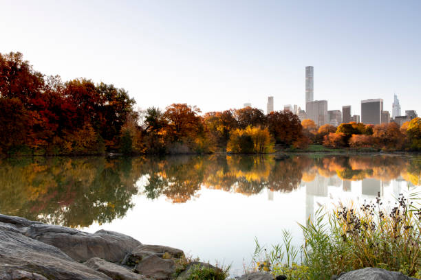 istock Autumn in Central Park Hernshead 1353153598