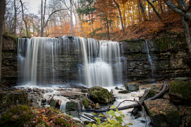 The blurred water of Terrace Falls, one of several waterfalls in Short Hills Provincial Park near St. Catherines, Ontario, cascades over a small cliff in a forest.