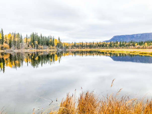 istock Fall Colors of Alaska With Lake Reflection 1353161520