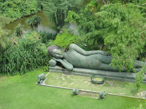 The Buddha Statue in the Forest