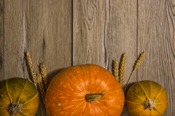 istock Thanksgiving day or autumn gourds holiday 1353165577