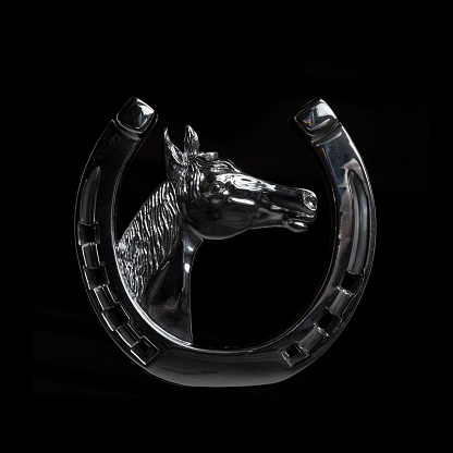 Chrome mascot. Horse head inside a large horseshoe on a black background close-up
