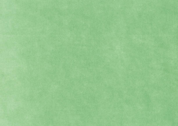 Green textured cardboard background stock photo