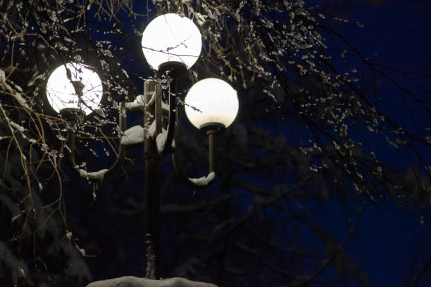 istock Street lamp shines with white light on winter night 1353176111