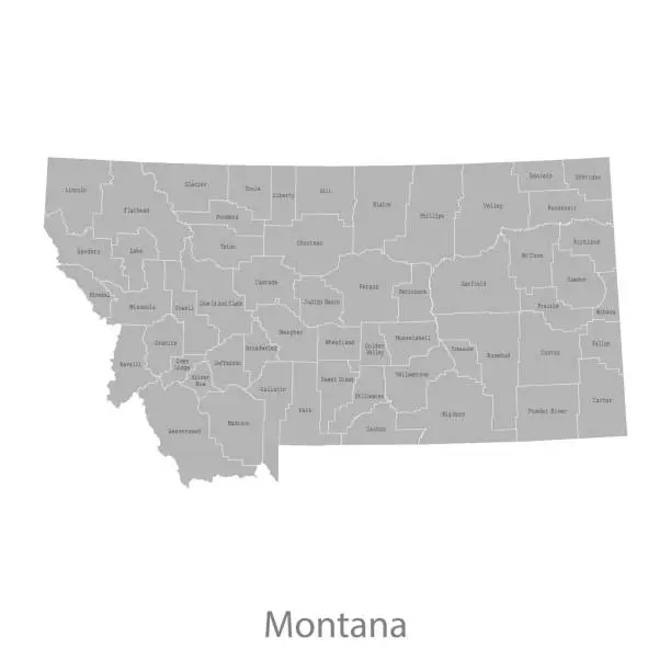 Vector illustration of Montana map