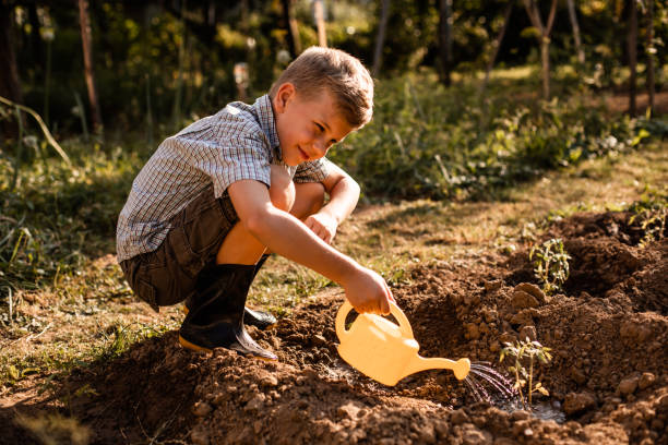 istock Side View Of Boy In Sunlight 1353177800