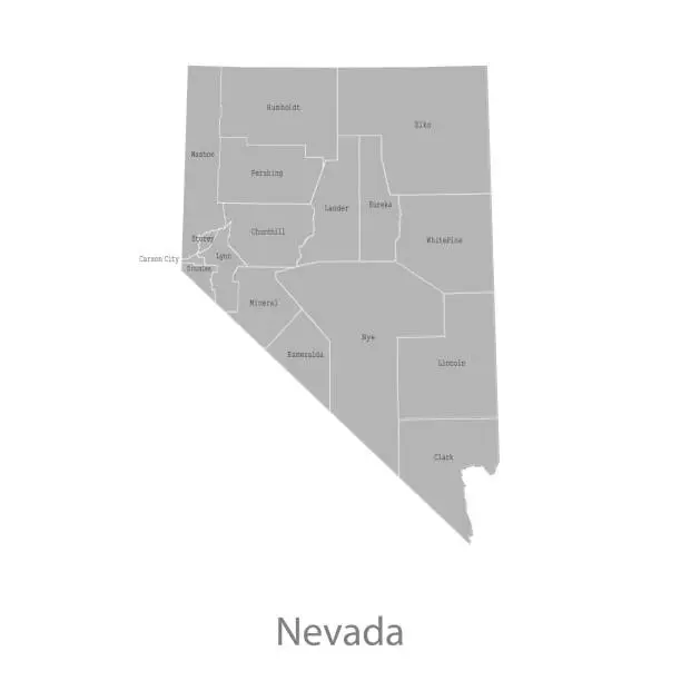 Vector illustration of Nevada map