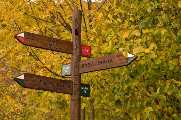 istock Signposted paths in the forest 1353179513