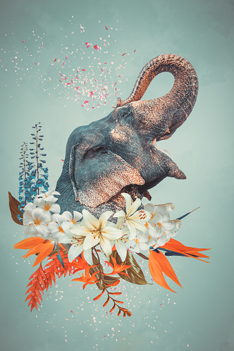 Abstract contemporary surreal art collage of elephant with flowers