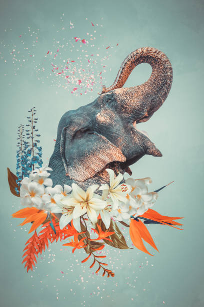 abstract art collage of elephant with flowers - composite flower imagens e fotografias de stock