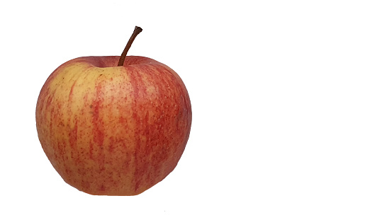 One red apple on white background with copy space