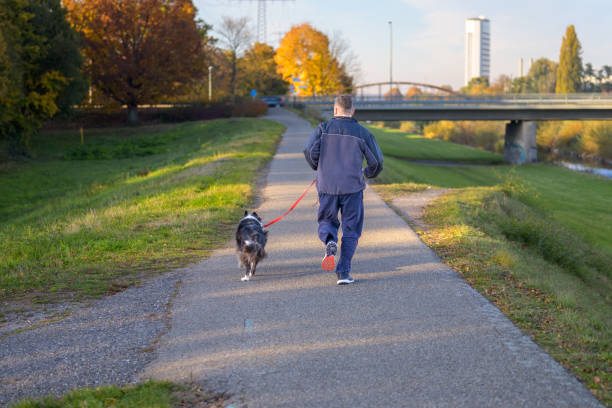 istock Man taking his dog for a run in the evening in a rear view 1353189275