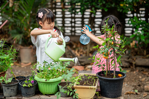 Asian girl watering a small plant pot In your own garden To plant and take care of it to grow.