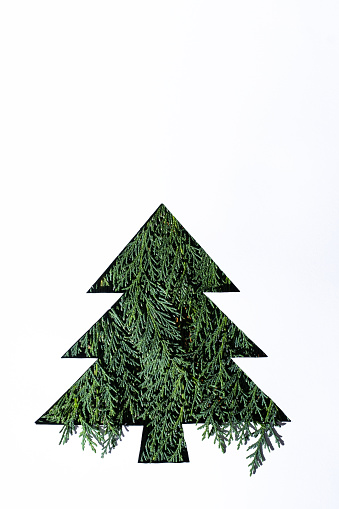 creative idea of Christmas tree cut from paper with real pine branches. Minimal new year concept.