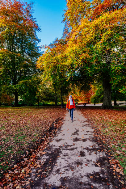 istock Hexham Park, Hexham, United Kingdom 1353191937