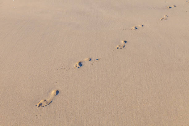 istock human footsteps at the beach 1353191968