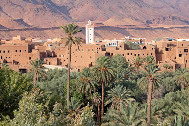 istock Oasis in the Dade Valey in Morocco Africa 1353193117