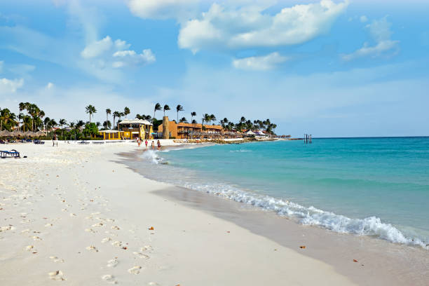 Palm beach at Aruba island in the Caribbean Sea stock photo