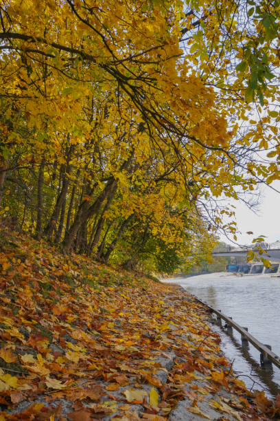 istock River with colorful trees and leaves in autumn | Munich, Germany 1353195033