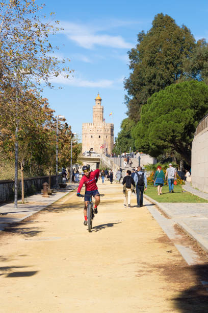 cyclist on a dirt road with the torre del oro in the background in seville (andalusia, spain). people strolling and playing sport on the promenade on a sunny day. - seville sevilla torre del oro tower imagens e fotografias de stock