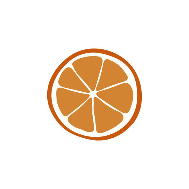 ilustrações de stock, clip art, desenhos animados e ícones de dry orange icon on white background vector. - white background studio shot macro square