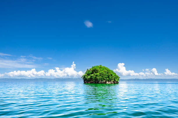 round soil ground cross section with earth land. Empty sand beach in front of summer sea. fantasy floating island with natural isolated on white background