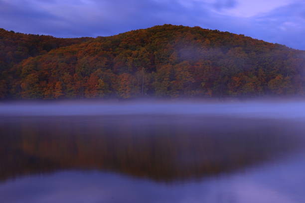 istock Lake of autumn leaves 1353201269