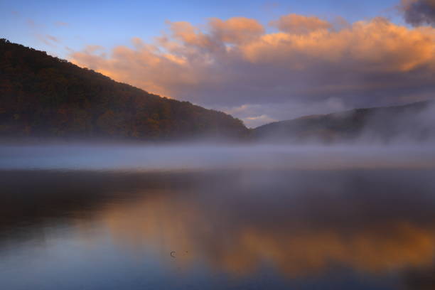 istock Lake of autumn leaves 1353201292