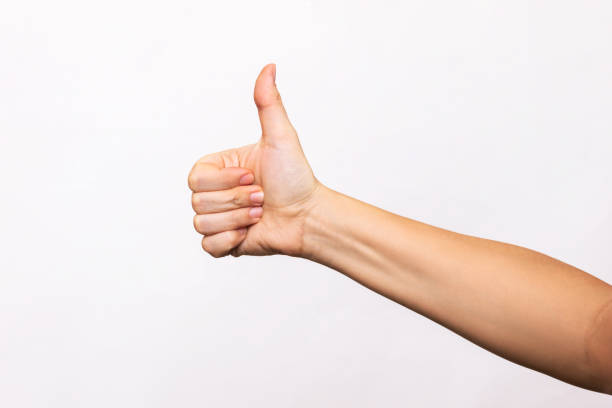 親指を上げるジェスチャーを示す女性の手 - finger raised ストックフォトと画像