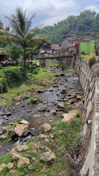 istock Small river - stock photo 1353205769