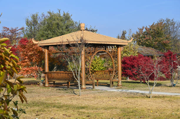 istock Park with Japanese garden in the fall 1353206644